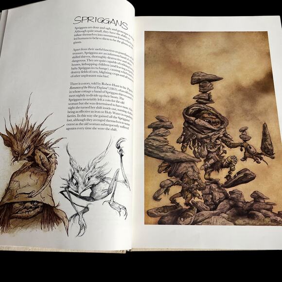 Vintage Faeries Book Hardcover 1978 Graphic Art Brian Froud No Dust Jacket READ - Picture 15 of 16